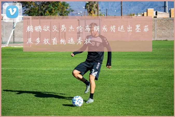 鹈鹕欲交易杰伦布朗或将送出墨菲及多枚首轮选秀权