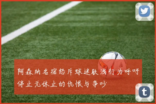 阿森纳名宿怒斥球迷肤浅行为呼吁停止无休止的仇恨与争吵